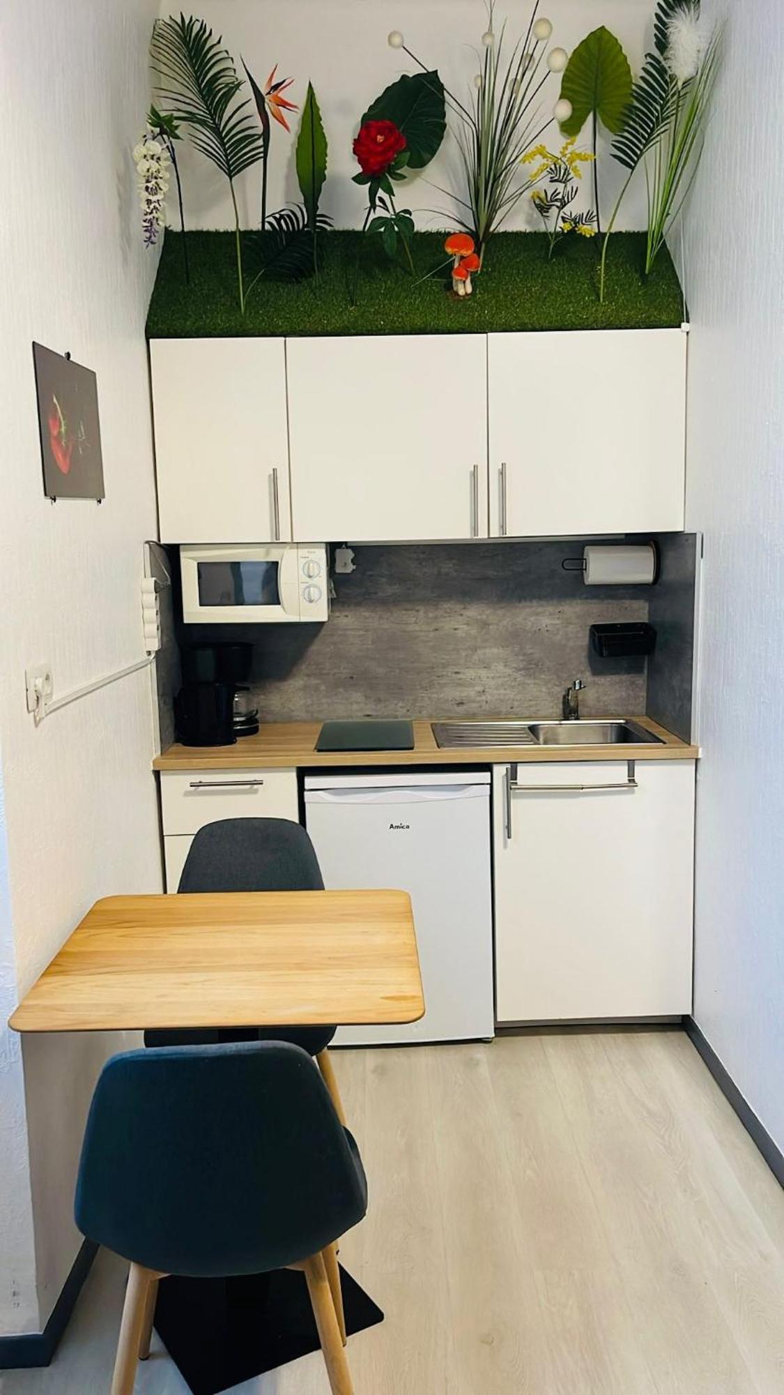 Apartment 2 Lits Doubles, Hyper Centre